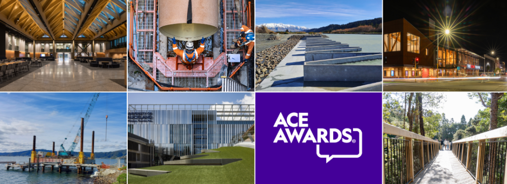 2025 ACE Awards winners