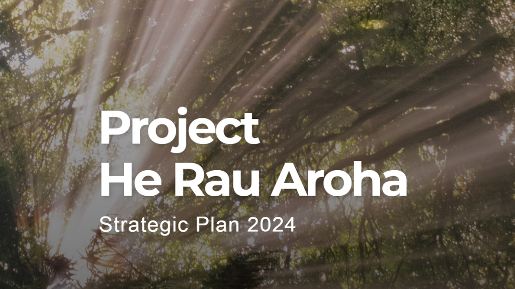 He Rau Aroha report cover with sunlight shining through the trees