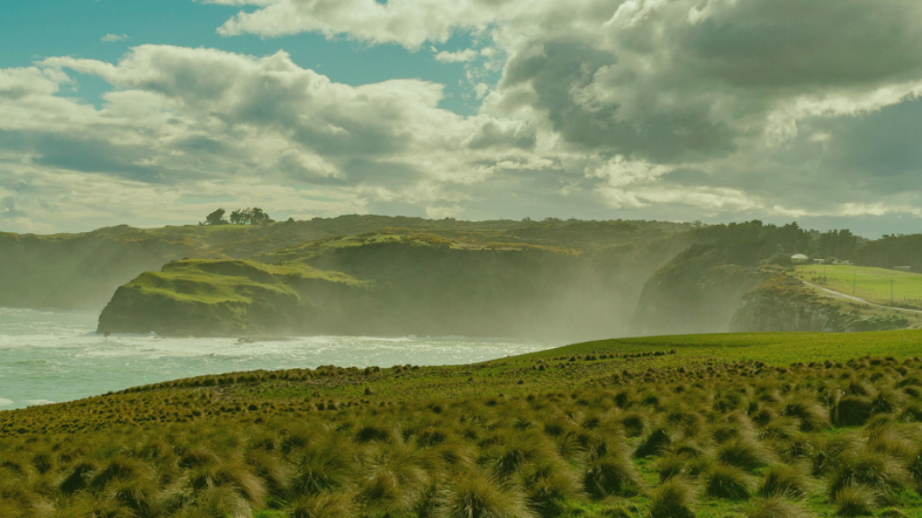 A picture of waves rolling into a rugged coast in New Zealand