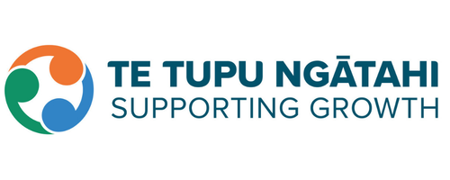 Supporting Growth: Delivering value through integrated infrastructure planning. Lessons learnt from Te Tupu Ngātahi.
